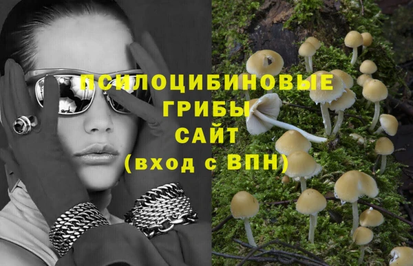 PSILOCYBIN Богородицк